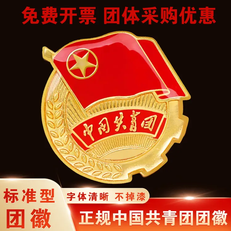  正版团徽标准款学生用胸针团徽团徽别针式大磁铁强磁扣团员胸徽