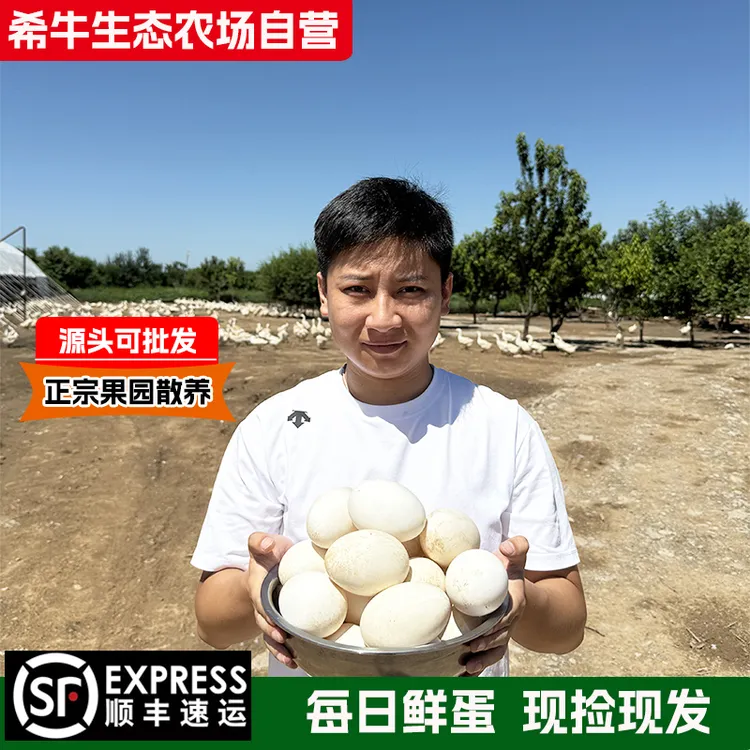 希牛生态农场果园散养大鹅140g-170g12枚24枚新鲜土鹅蛋现捡现发