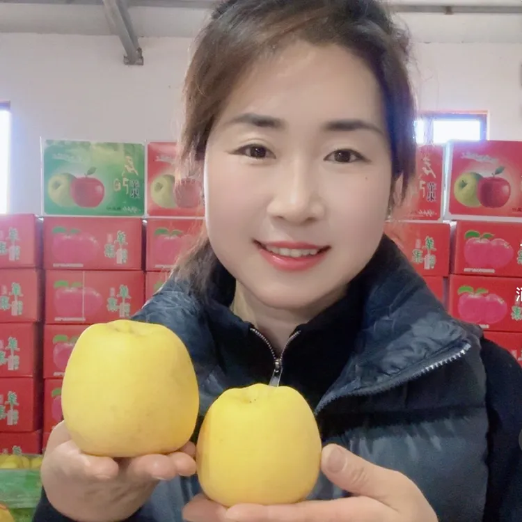 正宗甘肃庆阳【维纳斯黄金苹果】雀斑金苹果 脆甜 香甜 汁水足