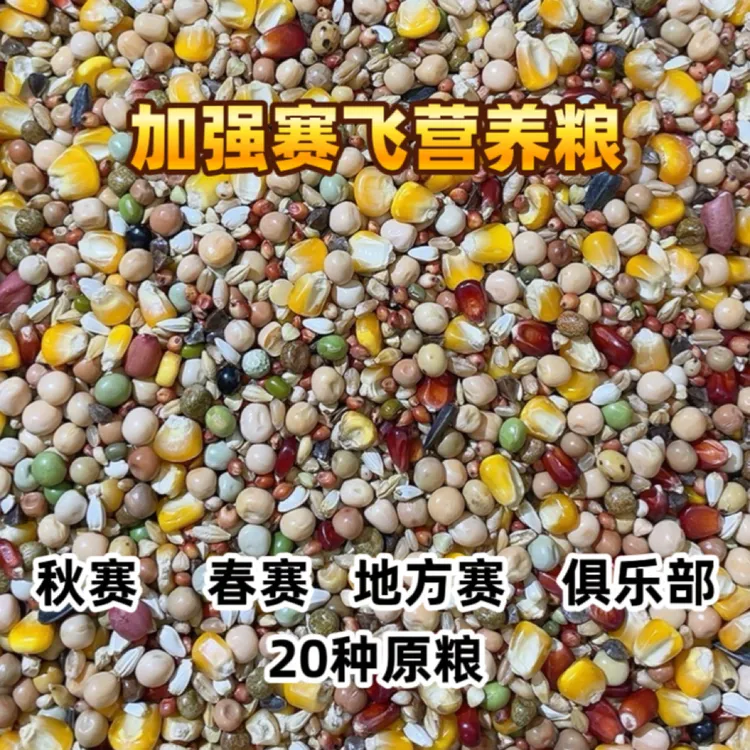 加强赛飞营养鸽粮含玉米适合赛鸽信鸽种鸽50斤包邮