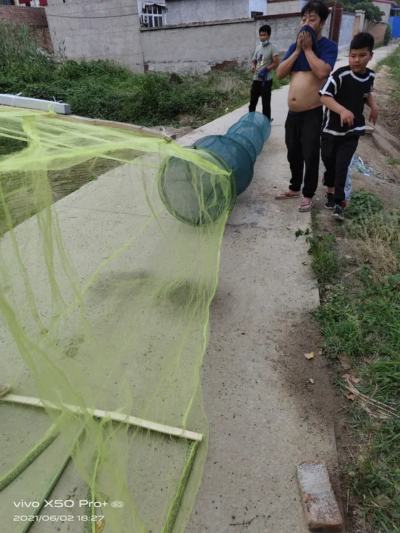 白洋淀地锚鱼捕鱼网