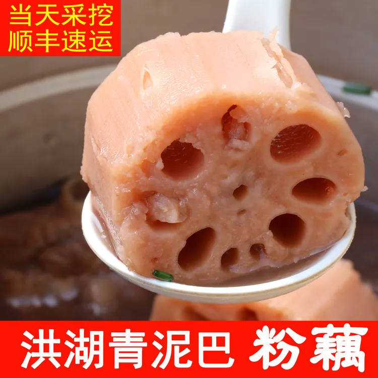 洪湖莲藕青泥巴 煲汤粉藕面藕汤藕煲汤粉糯湖北藕新鲜现挖