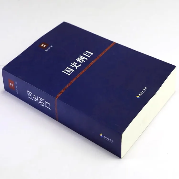 正版图书：国史纲目/姚中秋/中国历史研究普及史纲方法图书