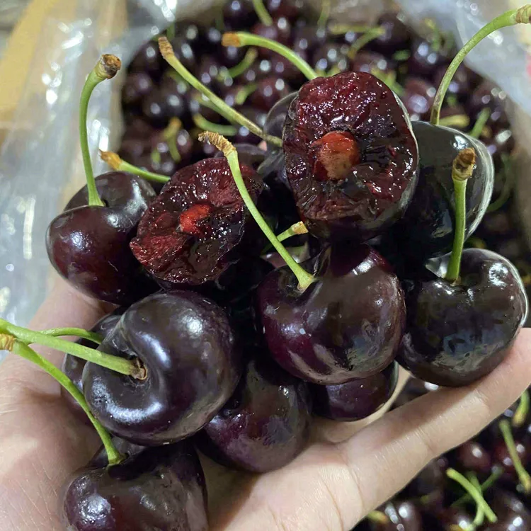 【顺丰5斤原箱黑车】空运智利进口车厘子桑提娜3J4J内附果径卡尺