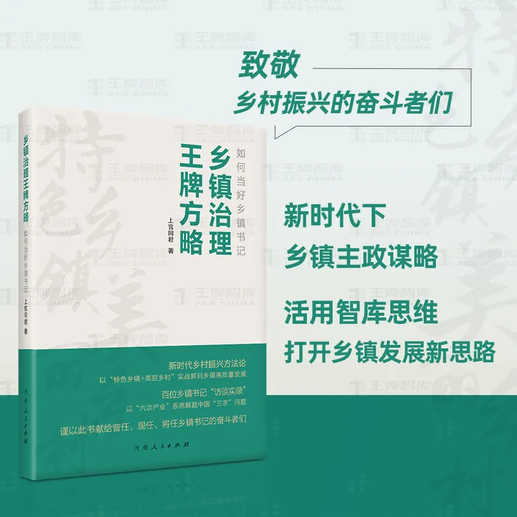 乡镇治理王牌方略
