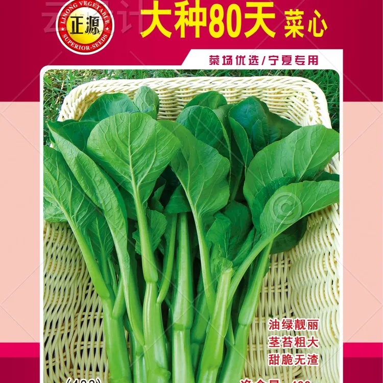 和利农正源大种80天菜心种子蔬菜种籽青菜抗病盆栽耐热春秋高产