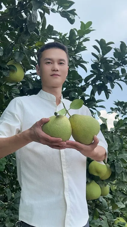 福建度尾文旦柚新鲜当季斌斌严选现摘红心果