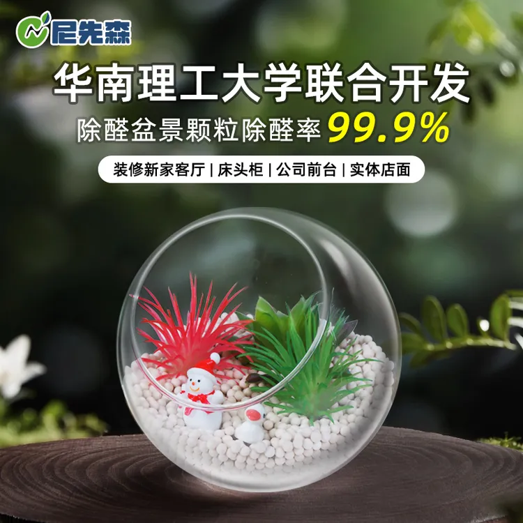 尼先森除醛颗粒盆景微景观甲醛清除剂除味家用装修新房吸甲醛神器