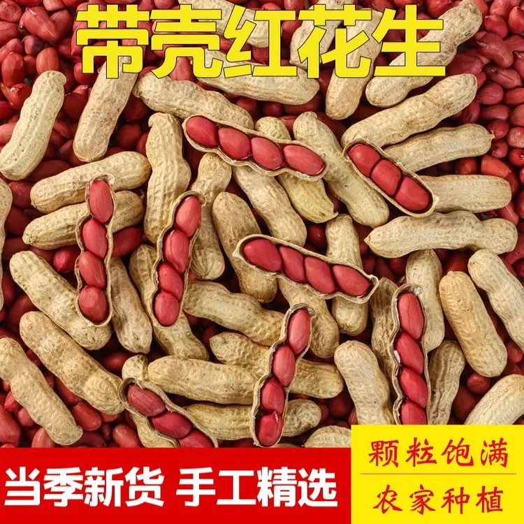 生红皮花生带壳农家种植花生五谷杂粮新货四粒薄皮新鲜原味晒干