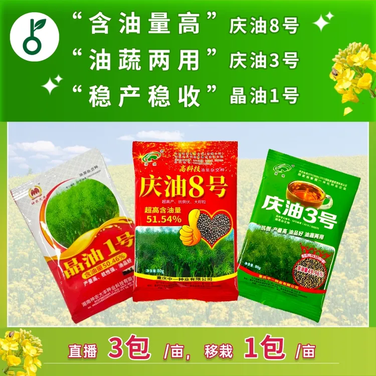 油菜种子甘蓝型两系杂交中熟油菜种子抗倒伏抗病优质高产庆油晶油