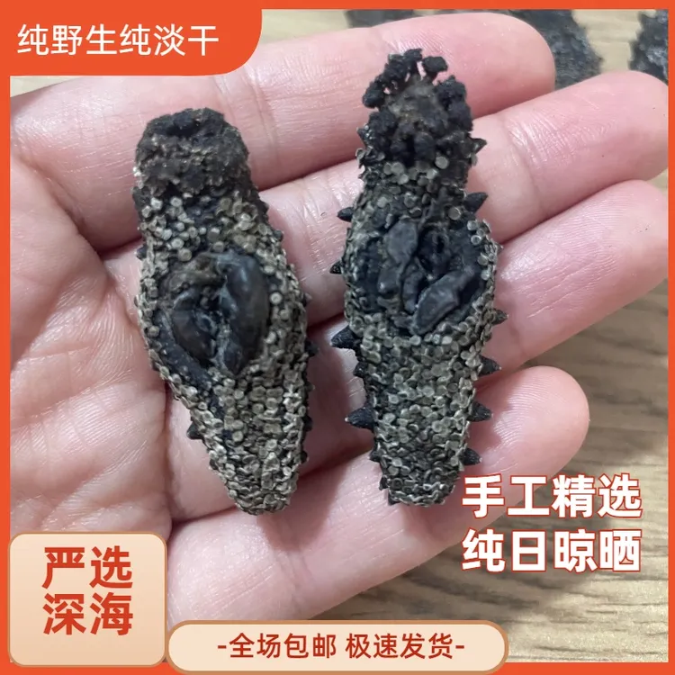 纯野生海参 蓬莱长岛  国标特级纯淡干 