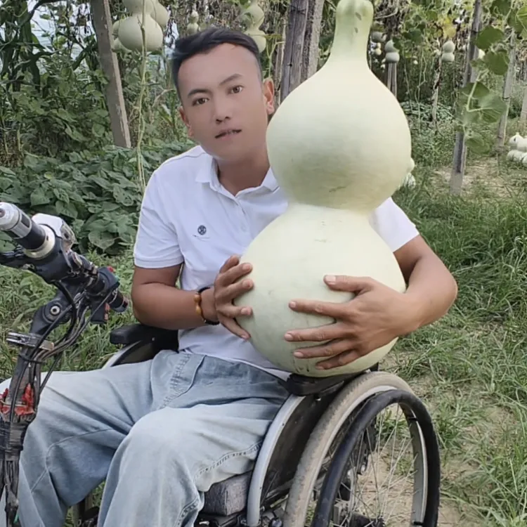 传统大八宝，发五颗