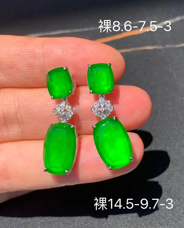 满绿二合一翡翠耳饰