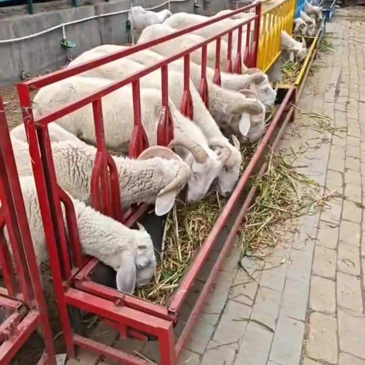 定位栏羊槽胶皮槽底