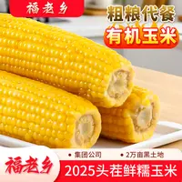 福老乡25年头茬有机糯玉米  香甜软糯 真空包装 老人小孩放心吃