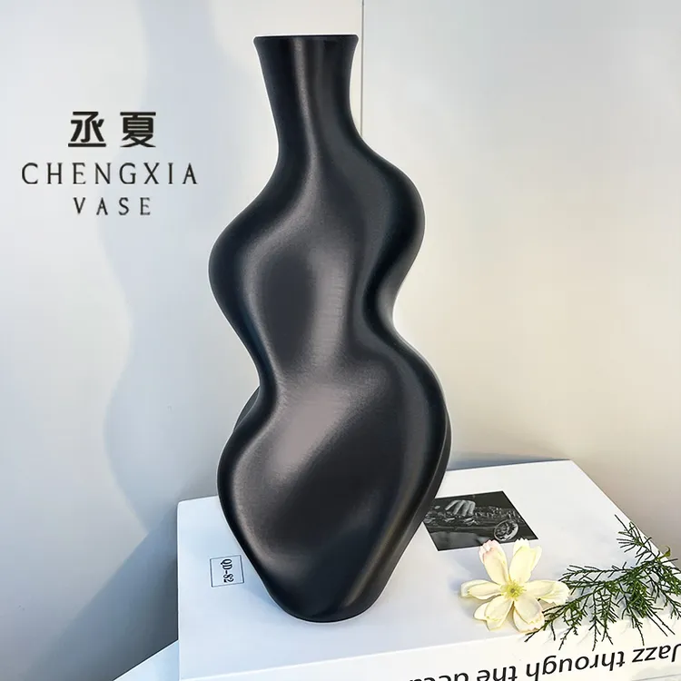 ins风花瓶客厅插花花瓶轻奢高级感网红客厅摆件装饰小众创意花瓶