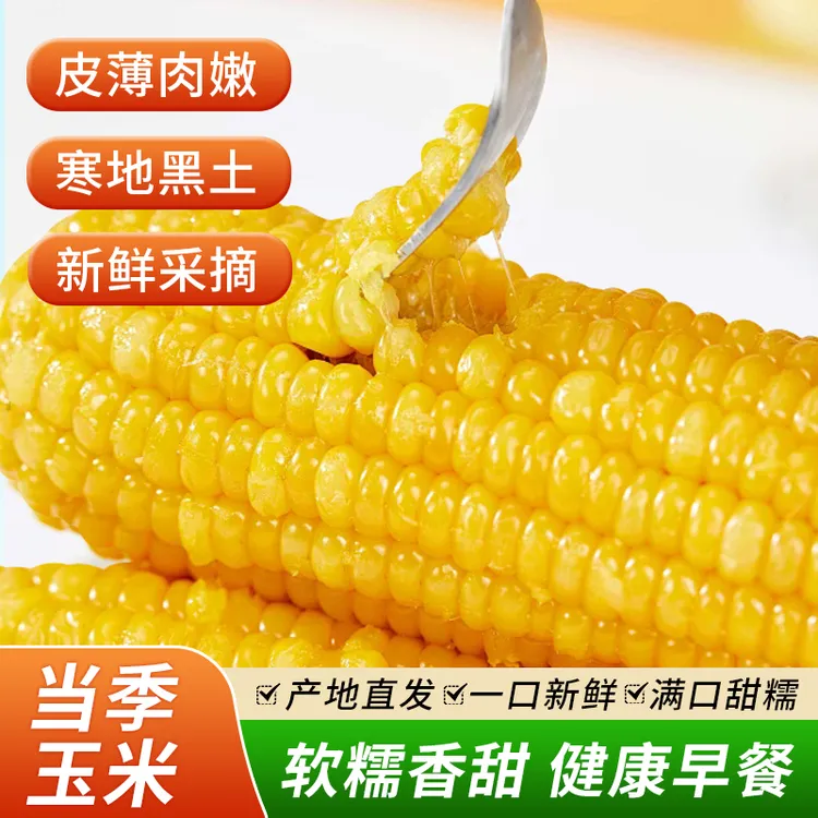 【一整箱12棒玉米7斤左右】东北玉米新鲜糯玉米棒装玉米代餐甜糯粘