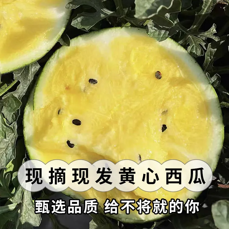 云南特小凤冰淇淋西瓜新鲜当季水果黄心皮薄香甜多汁