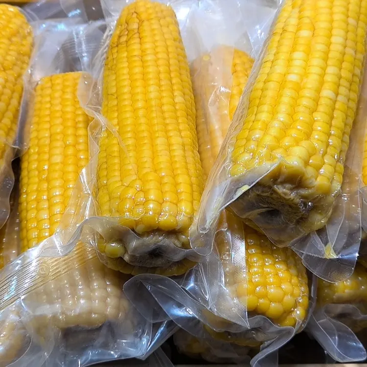 东北头茬黄糯玉米真空锁鲜软糯香甜