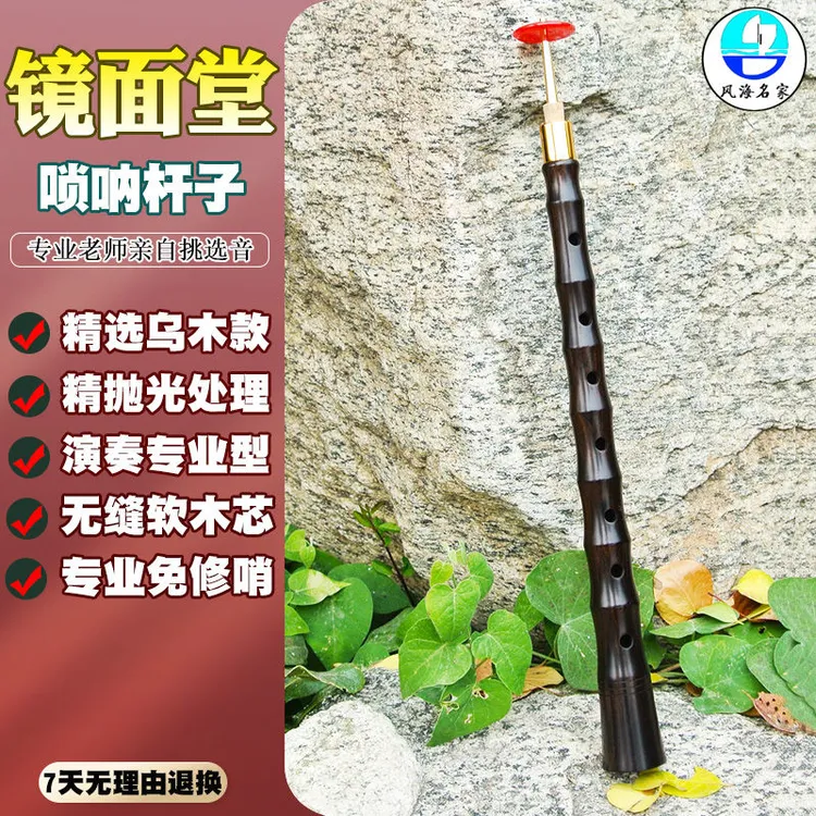 专业唢呐乐器演奏镜面堂唢呐杆子乌木喇叭杆d调无缝芯子免修哨片