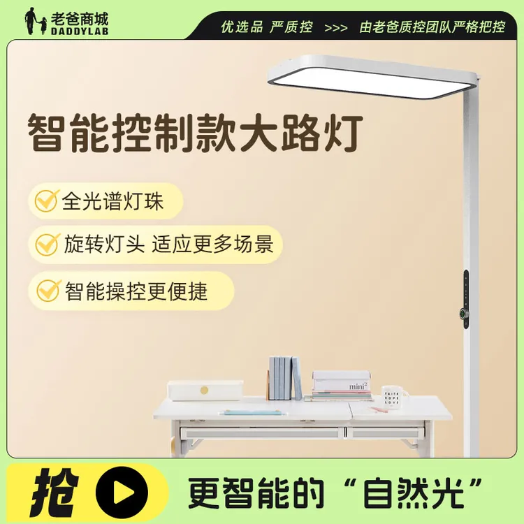 老爸评测定制智能控制款落地学习大路灯