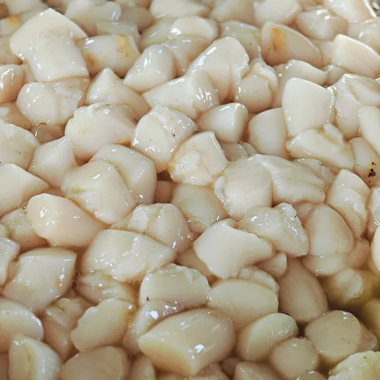 大连本地原浆海湾扇贝丁2斤3斤4斤顺丰包邮