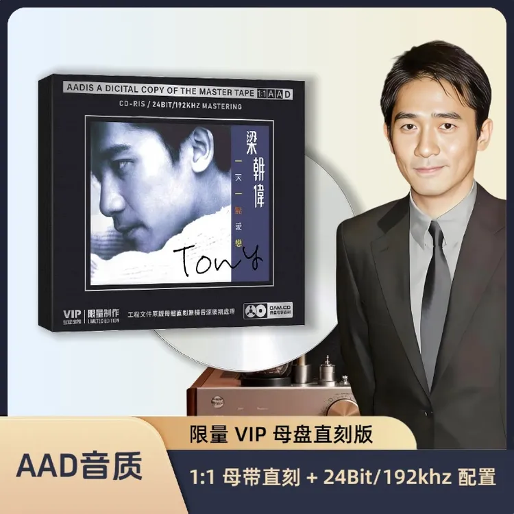 梁朝伟CD专辑精选流行经典歌曲草原母盘直刻汽车适用专辑兄弟