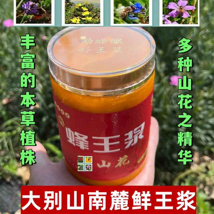 勤蜂漫野2025年山花蜂王浆500g一罐体验装纯正新鲜蜂场直发