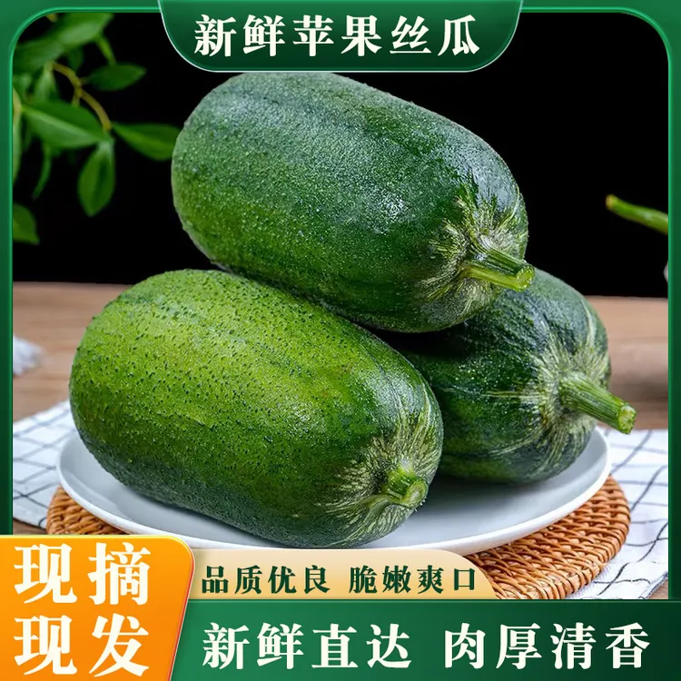 现摘现发苹果丝瓜四川新鲜直达翠嫰清甜当季特菜肉丝瓜爆炒凉拌