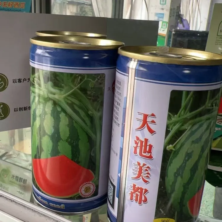 抗病美都西瓜种正宗美都西瓜种子红瓤耐裂超甜西瓜种子薄皮耐运输