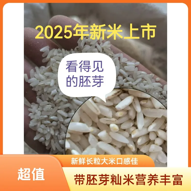 2025年新米胚芽籼米张老师推荐的不抛光长江中下游地区一年种一季