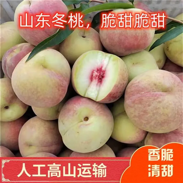 【顺丰包邮】山东青州蜜小冬桃3/5斤 应季水果 新鲜采摘