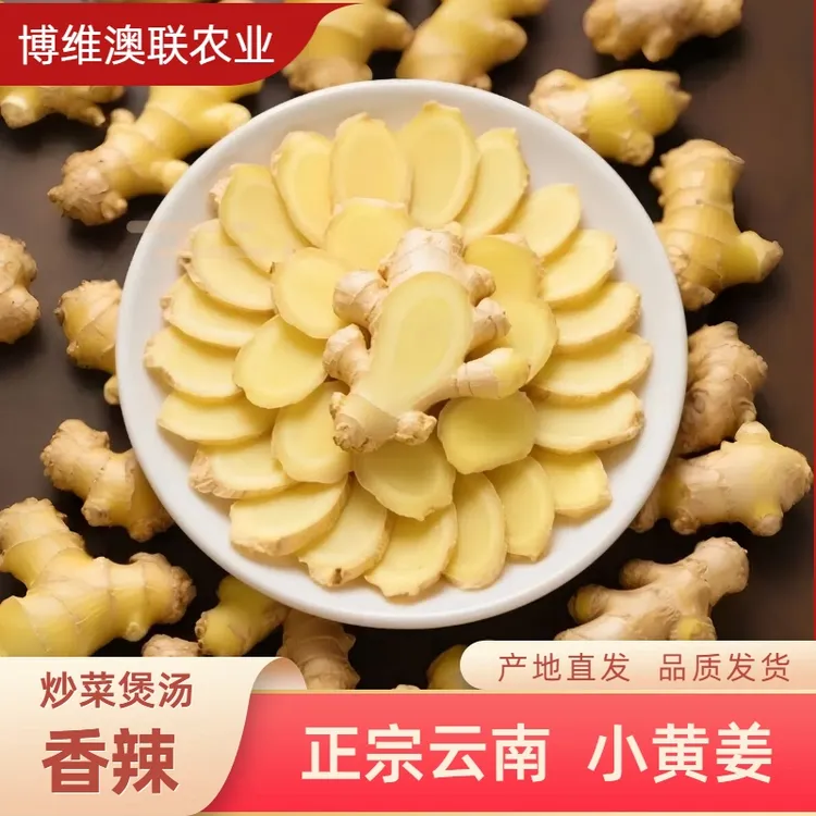 云南正宗小黄姜新鲜老姜去腥增香产地直发坏果包赔高品质调味配菜