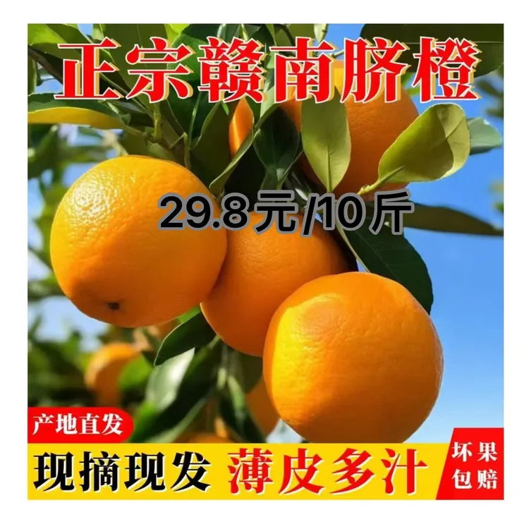 【尝新宠粉】正宗赣南脐橙果园现摘直发10斤装新鲜当季水果清甜多汁