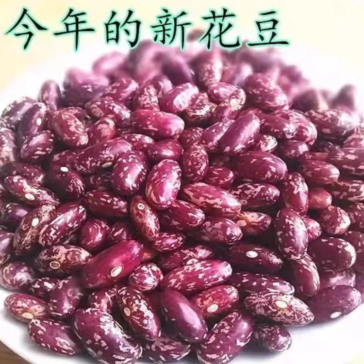 贵州新豆酸菜芸豆豆米散装新鲜花云豆大碴粥新豆正宗贵州新花豆