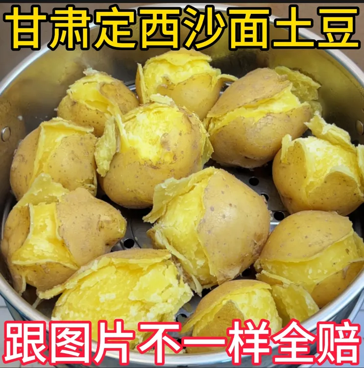 9斤甘肃定西土豆沙面开花老品种粉糯新洋芋黄皮黄心农家新鲜蔬菜