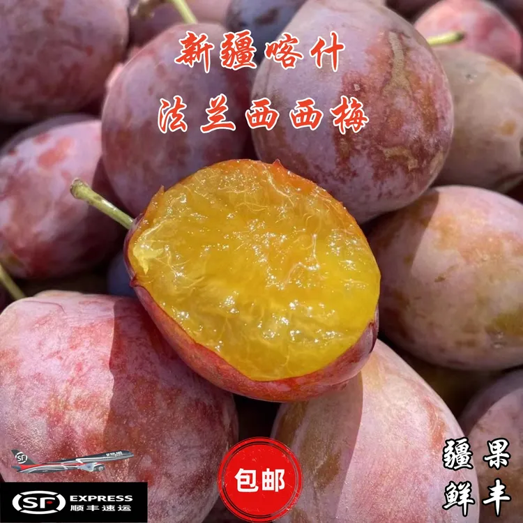 新疆特产喀什法兰西西梅当季水果新鲜采摘皮薄多汁饱满顺丰包邮