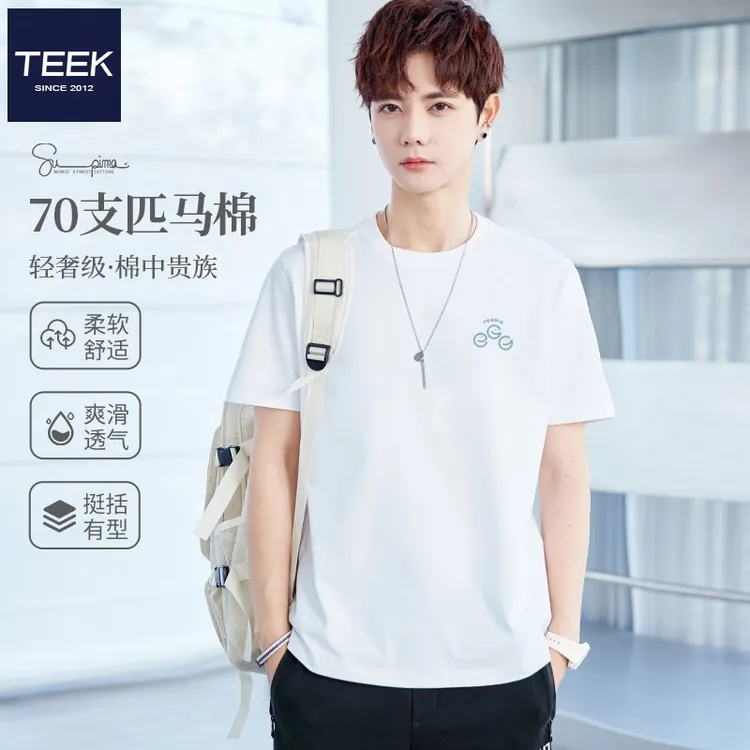 TEEK短袖t恤男生匹马棉上衣 青年休闲体恤衫2025夏季简约男装衣服
