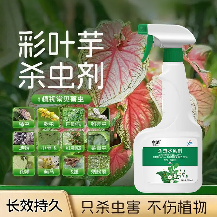 空消彩叶芋杀虫剂花虫净竹芋生除虫剂虫害驱虫红蜘蛛虫子药