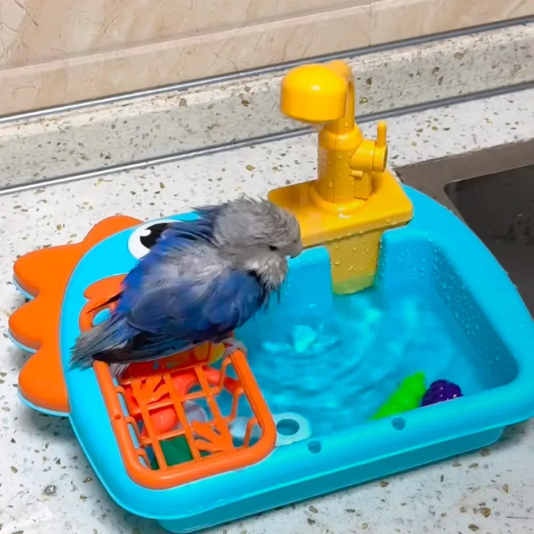 【鸟哥拒绝emo】高颜值鸟类宠物自助淋浴盆金太阳浴缸鹦鹉洗澡盆