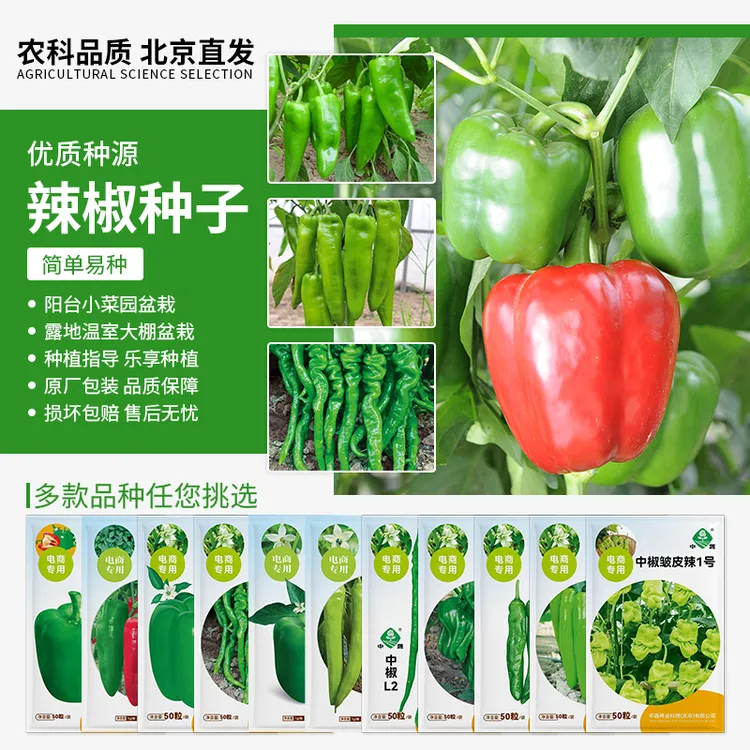 【农科院中蔬】各种辣椒种子牛角椒种子羊角椒种子易种蔬菜微辣阳台