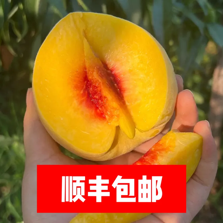【顺丰包邮】竹山本地黄桃新鲜脆甜多汁自然生长水果