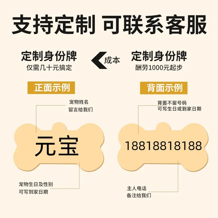 猫咪项圈猫牌狗牌定制刻字防丢失猫铃铛脖圈幼猫狗狗宠物装饰挂饰