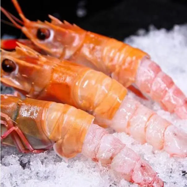【顺丰空运】海鳌虾深海鳌虾刺身品质鲜活冷冻国产超大螯虾2斤装