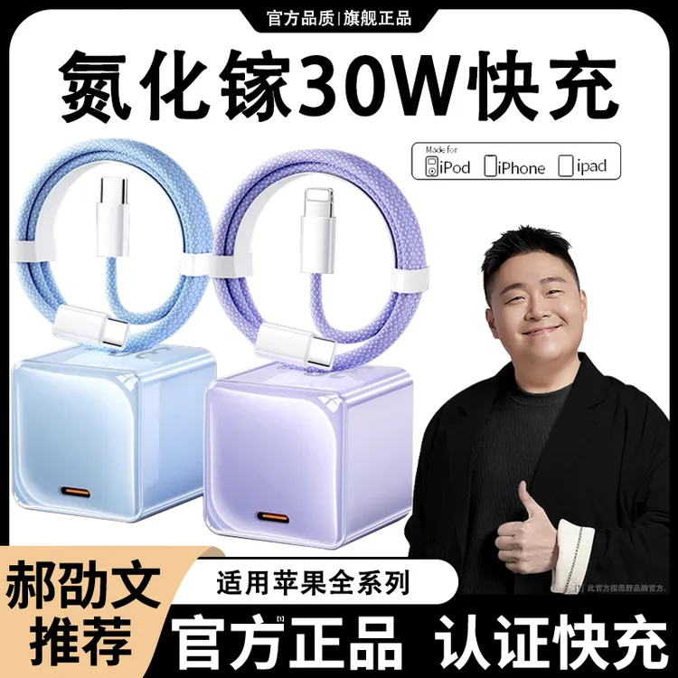 氮化镓30W快充适用苹果充电器数据线iphone17手机65432平板正品头