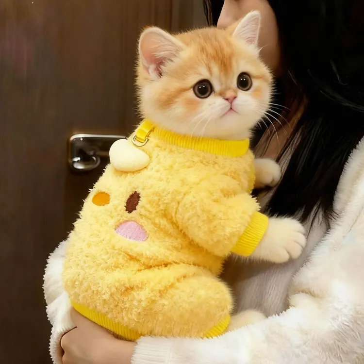 猫咪狗狗衣服秋冬四脚保暖动物加厚牵引宠物英短布偶冬季狗狗小型
