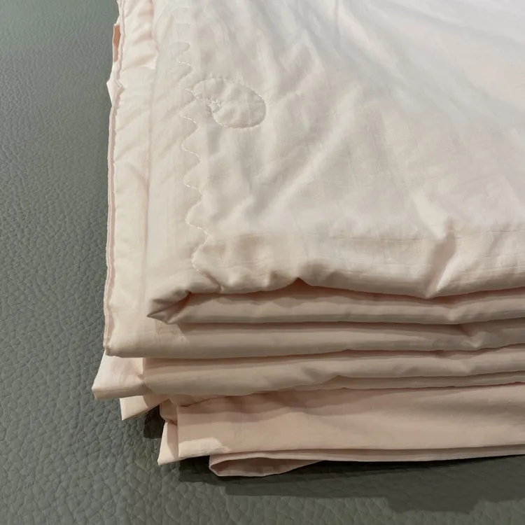 绣花可水洗冰爽凉感大豆被夏被夏季亲肤