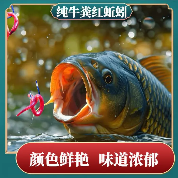 新鲜活体蚯蚓钓鱼专用鱼饵腥味十足垂钓必备散装批发一斤半斤