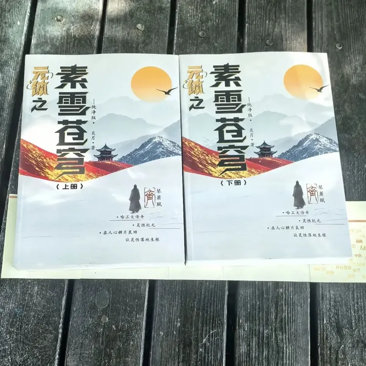 元体之素雪苍穹小说题材内涵乾坤静心阅读必有收获