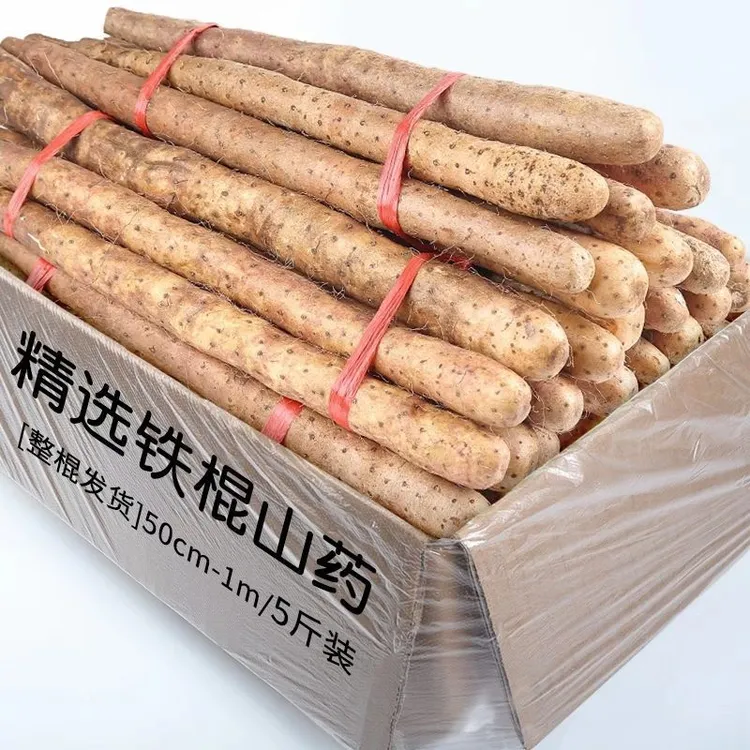 新鲜铁棍山药粉糯香营养丰富50-60厘米高品质蔬菜无添加现挖现发